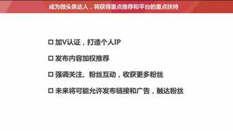 头条里的粉丝叫什么粉,揭秘“粉”背后的故事