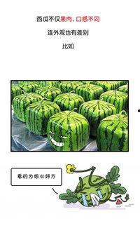 历史热门吃瓜视频