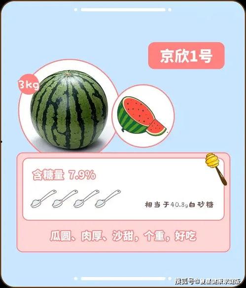日常吃瓜指南,轻松掌握日常娱乐热点解析