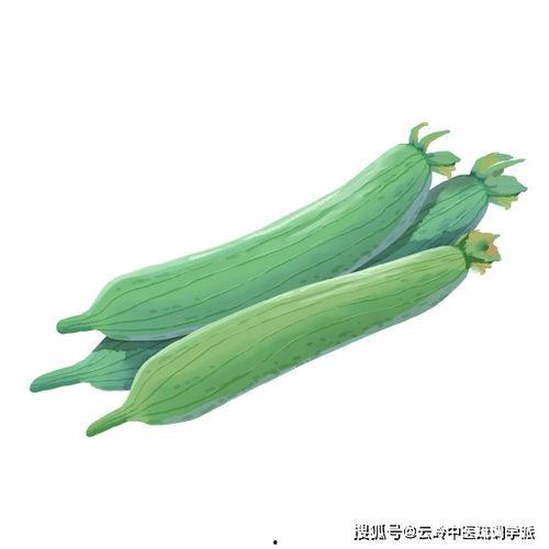 滚宝吃瓜,揭秘娱乐圈那些不为人知的幕后故事