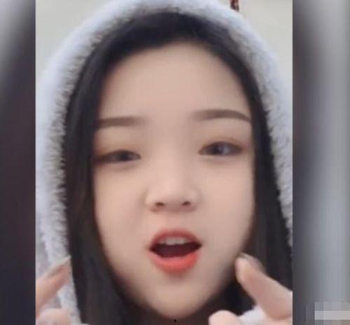 网红胖虎形象,从网络红人到励志偶像的蜕变之路