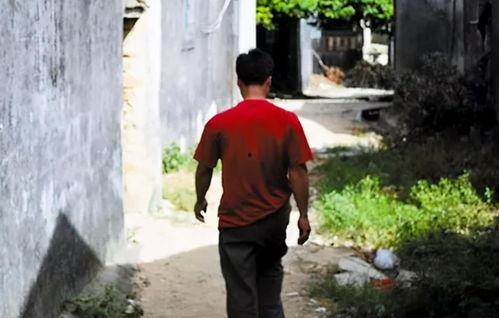 吃瓜的路人ymls,揭秘娱乐圈幕后故事