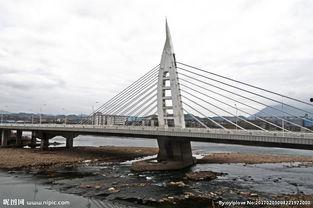 光明大桥今日头条,见证城市跨越，共筑辉煌未来