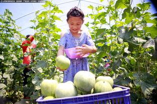 视觉吃瓜,跟随吃瓜群众，探寻娱乐圈幕后真相